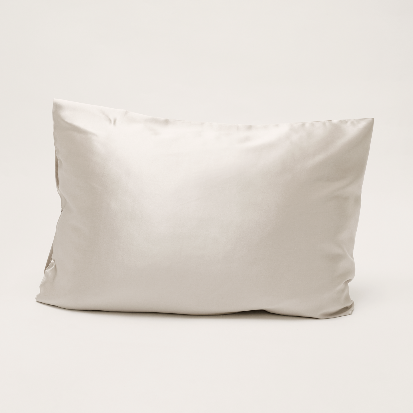 Revive7 SILK Pillowcase